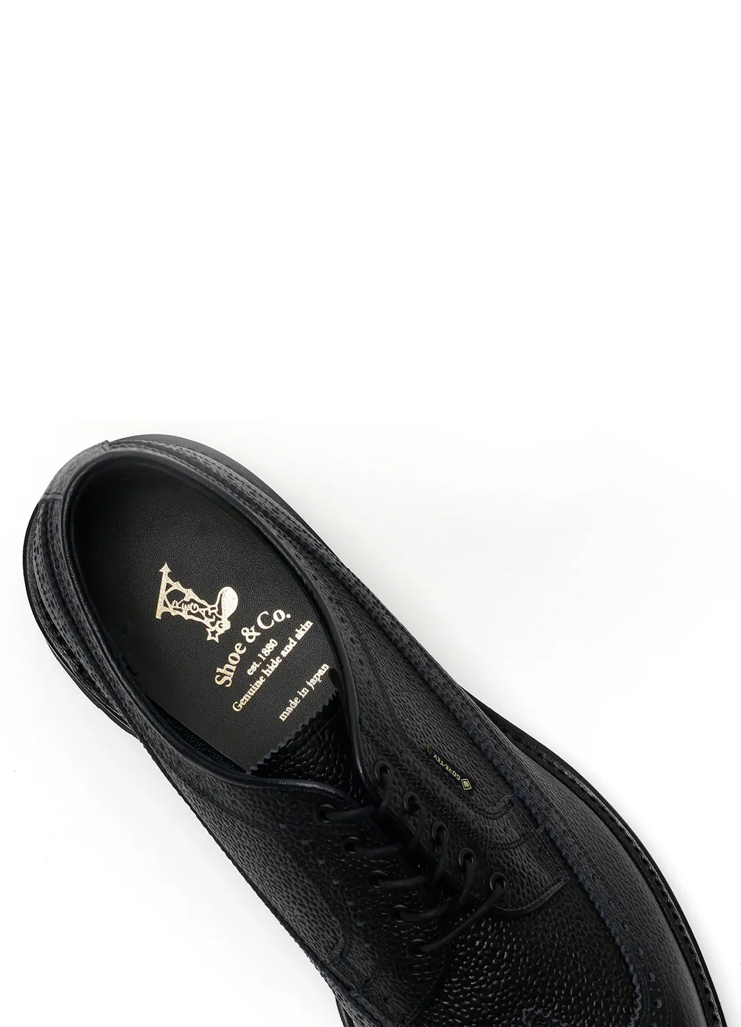WING-TIP | Gore-Tex Brogue Leather Shoe | Black - Image 6